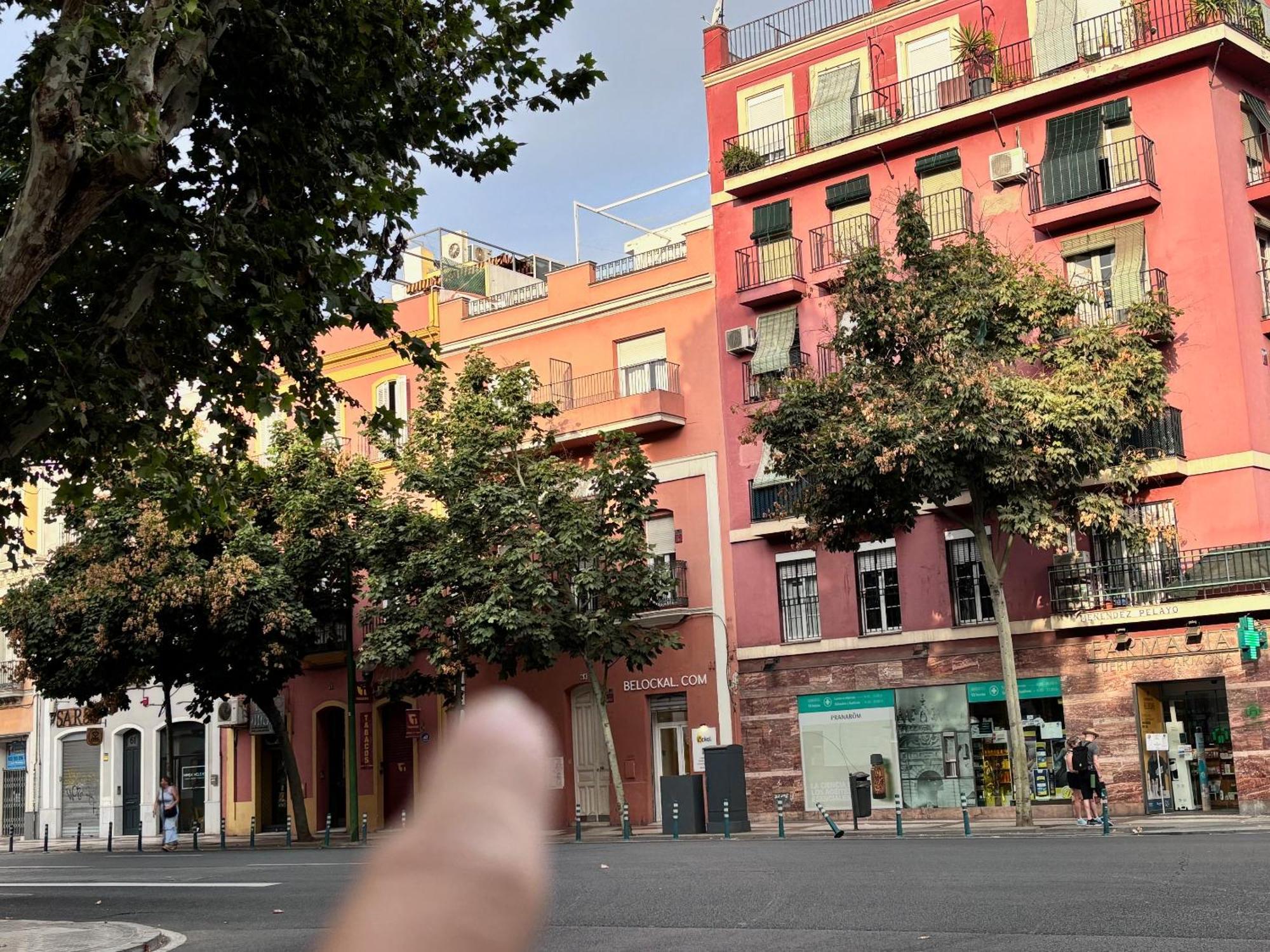 塞维利亚Solete'S House 1A公寓 外观 照片